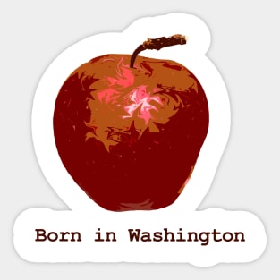 Born in Washington Sticker